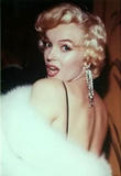 th_73408_MarilynMonroe_TheRoseTattooPremiere_Dec-13-1955_09_122_965lo.jpg