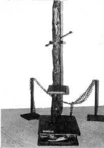 th_37486_tortura10_122_1051lo.jpg