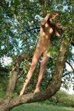 Alizeya A - Tree Monkey 2 -y4hkj4ajku.jpg