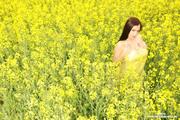 Aria-Giovanni-Yellow-Field-of-Flowers--h11li467ls.jpg