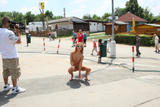 Billy Raise - "Nude in Brno"338jl9fsme.jpg