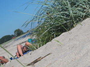 Beach-Voyeur-Spy-Serie-3-d6jn3aozme.jpg